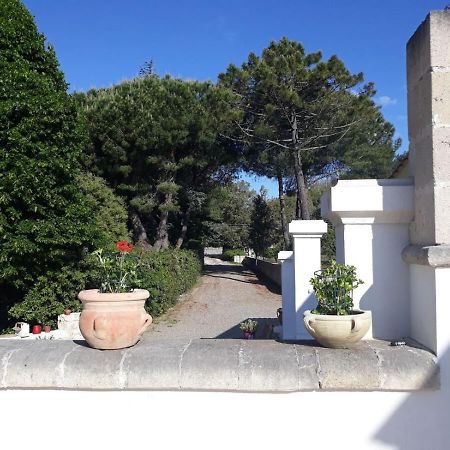 B&B Trulli E Mare Martina Franca Eksteriør bilde